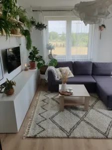 Dywany Lusczow Kusový shaggy koberec BERBER ASILA krémový, veľkosť 200x290