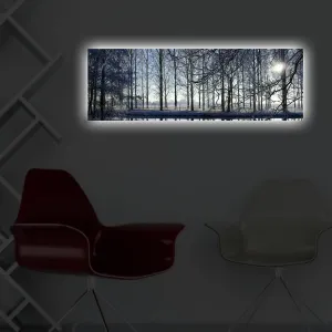 Wallity Obraz s LED osvetlením ZIMNÁ KRAJINA 37 30 x 90 cm