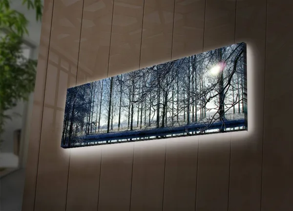 Wallity Obraz s LED osvetlením ZIMNÁ KRAJINA 37 30 x 90 cm