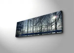 Wallity Obraz s LED osvetlením ZIMNÁ KRAJINA 37 30 x 90 cm