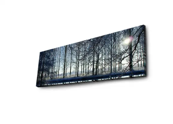 Wallity Obraz s LED osvetlením ZIMNÁ KRAJINA 37 30 x 90 cm