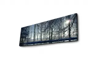 Wallity Obraz s LED osvetlením ZIMNÁ KRAJINA 37 30 x 90 cm