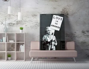 Wallity Obraz na plátne Einstein WY32 50x70 cm