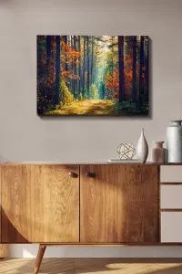Wallity Obraz na plátne Zázračný les 50x70 cm