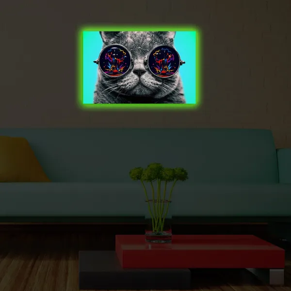 Wallity Obraz s LED osvetlením MAČKA V OKULIAROCH 61 45 x 70 cm