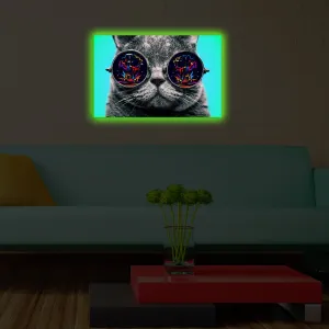 Wallity Obraz s LED osvetlením MAČKA V OKULIAROCH 61 45 x 70 cm