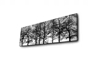 Wallity Obraz s LED osvetlením VETVY STROMOV 72 30 x 90 cm