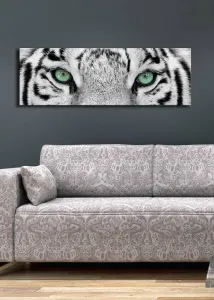 Hanah Home Obraz s led osvetlením White Tiger 90x30 cm