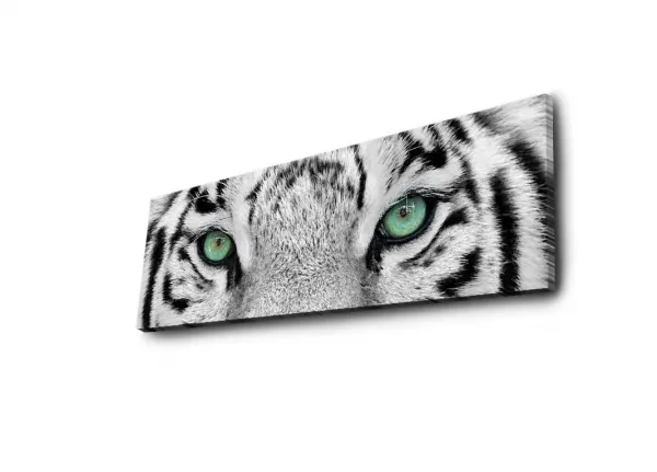 Hanah Home Obraz s led osvetlením White Tiger 90x30 cm