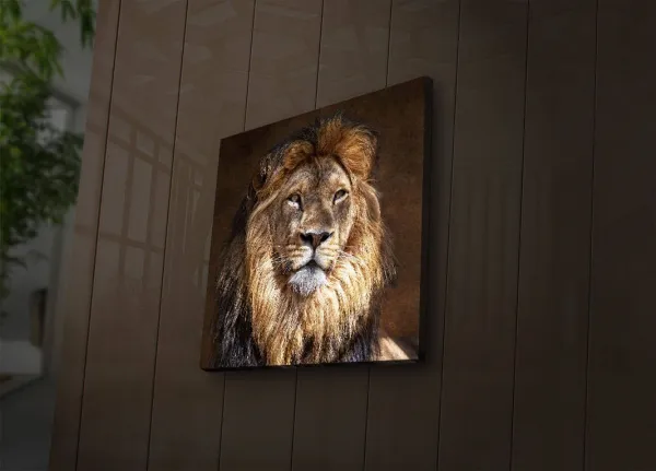 Wallity Obraz s LED svetlom KRÁĽ ZVIERAT 20 40 x 40 cm