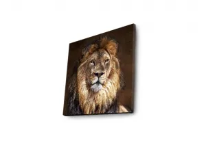 Wallity Obraz s LED svetlom KRÁĽ ZVIERAT 20 40 x 40 cm