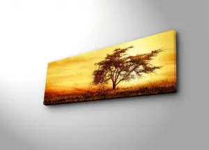 Wallity Obraz s LED osvetlením STROM V ZÁPADE SLNKA 27 30 x 90 cm