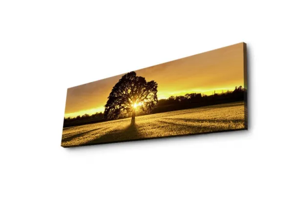 Hanah Home Obraz s led osvetlením Ledda Strom 90x30 cm