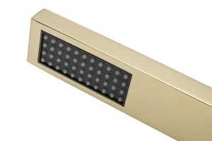 Sprchová sada Fenix Zlatá Rea P8401