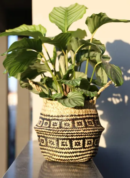 Tutumi Prírodný košík BOHO I hnedo - čierny