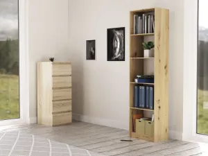 TP Living Regál Loga dub artisan