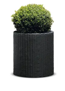 Kvetináč Cylinder L antracit Keter