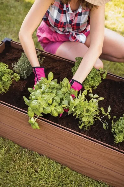 Vyvýšený záhon Keter Hedge Trough hnedý