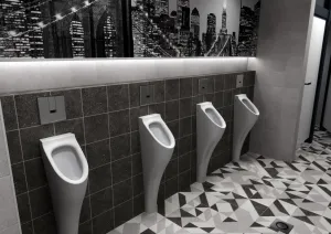 SAPHO - Automatický splachovač pre urinál 6V (4xAA), nerez lesk PS006