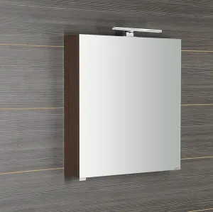 SAPHO - RIWA galérka s LED osvetlením, 50x70x17cm, borovica rustik RIW050-0016