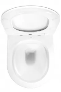 REA - Závesná WC misa vrátane sedátka Carlo Mini Flat biela/zlatý prúžok REA-C1222