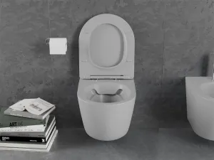 Závesná WC misa MEXEN LENA IV svetlo šedá