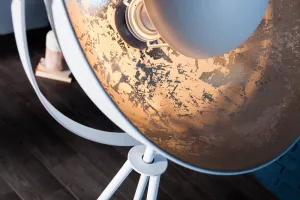 Stojací lampa BRUSEL Dekorhome Čierna / zlatá