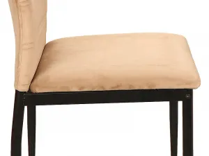 Signal Jedálenská stolička RIP VELVET Farba: Sivá / Bluvel 14