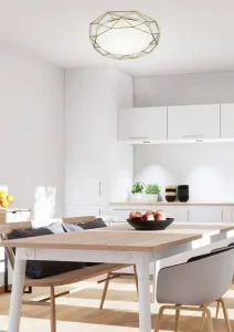 Stropné svetlo SVEN 16W LED Candellux