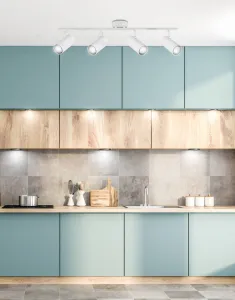 Stropné svetlo COLLY 4xGU10 Candellux