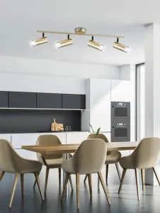 Stropné svetlo COLLY 4xGU10 Candellux