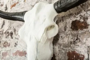 Nástenná dekorácia MASHNA Dekorhome