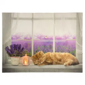 Nexos 86701 Nástenná maľba mačka na okne, 1 LED, 30 x 40 cm