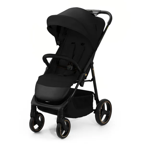 Športový kočík Kinderkraft Trig 3 Farba: Granite grey