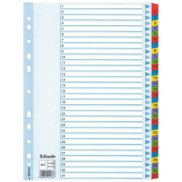 Esselte Dištančné vložky do šanónu Esselte A4 Mylar cardboard (10K055E) 100164