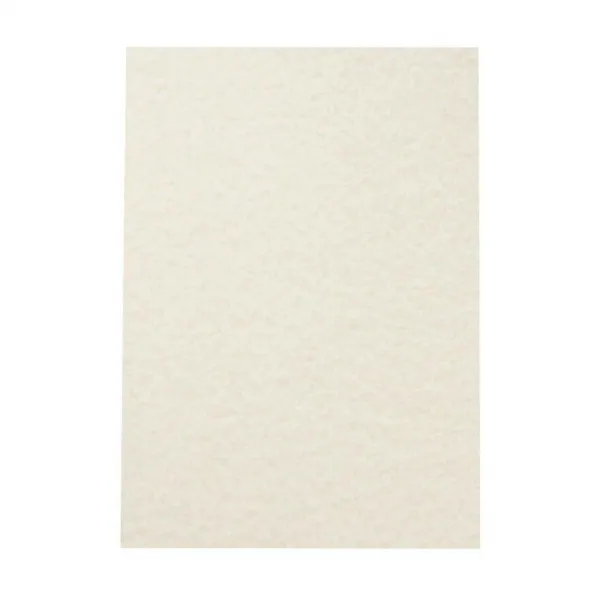 Agipa Štrukturovaný papier Pergamen šampanské 95g 100 hárkov