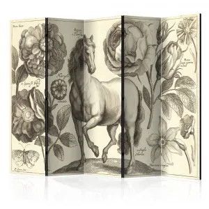 Paraván Horse Dekorhome