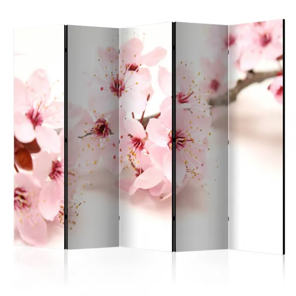 Paraván Cherry Blossom Dekorhome