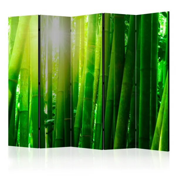 Paraván Sun and bamboo Dekorhome