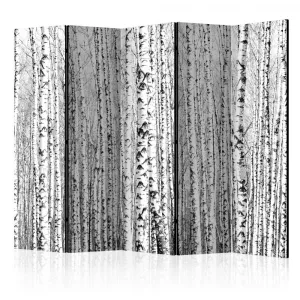 Paraván Birch forest Dekorhome