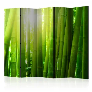 Paraván Sun and bamboo Dekorhome