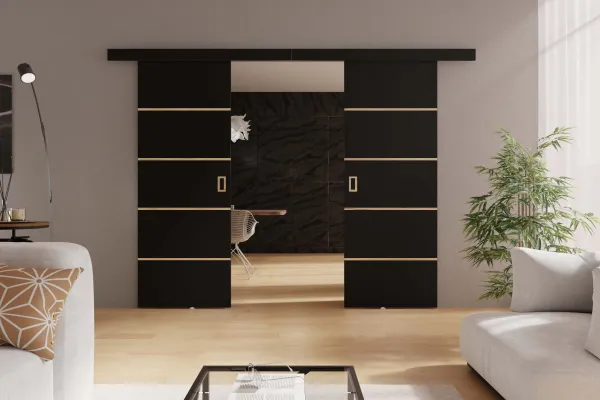 KIER Posuvné dvere WERDI DUO PLUS | 152 cm Farba: Grafit