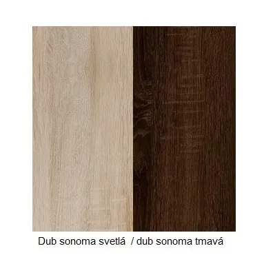 ArtCross Vitrína MAMBA | MAM 06 Farba: Slivka / čierny lesk