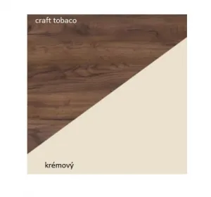 ArtCross Vitrína MAMBA | MAM 06 Farba: Slivka / čierny lesk