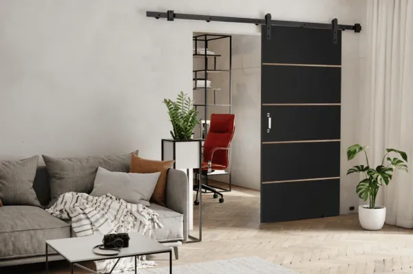 KIER Posuvné dvere LORNI PLUS | 80 cm Farba: Grafit