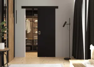 KIER Posuvné dvere WERDI | 100 cm Farba: Grafit