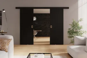 KIER Posuvné dvere WERDI DUO | 192 cm Farba: Grafit