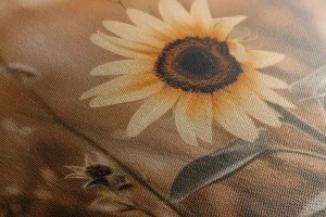 Obraz slnečnica pri západe slnka