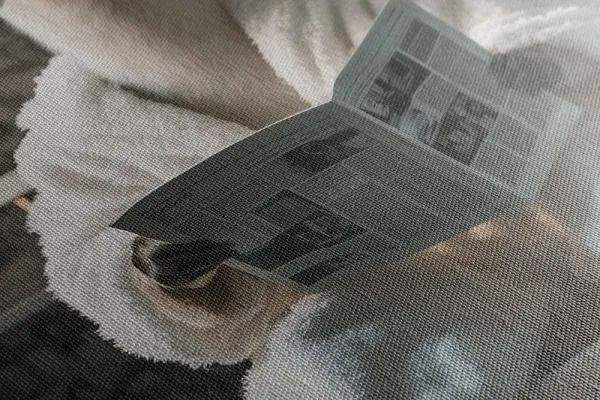 Obraz alpaka s novinami na záchode