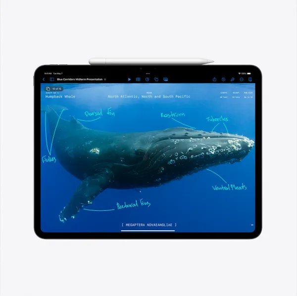 Apple iPad Pro 11" Wi-Fi + Cellular 2TB sklo s nanotextúrou - Strieborný (2024) MWRT3HC/A
